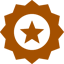 quality-badge-star-icon